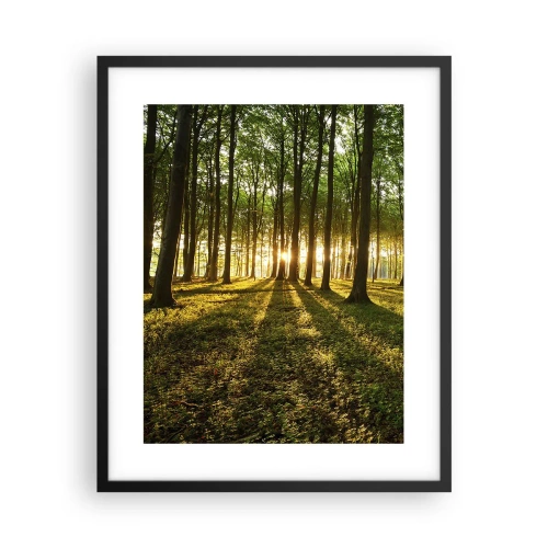 Plagát v čiernom ráme - Fotografie všetkých jarí - 40x50 cm
