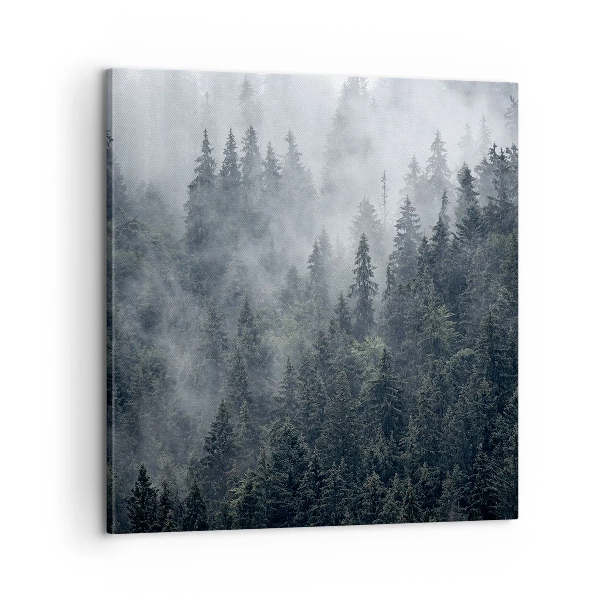 Obraz na plátne - Lesné svitania - 60x60 cm