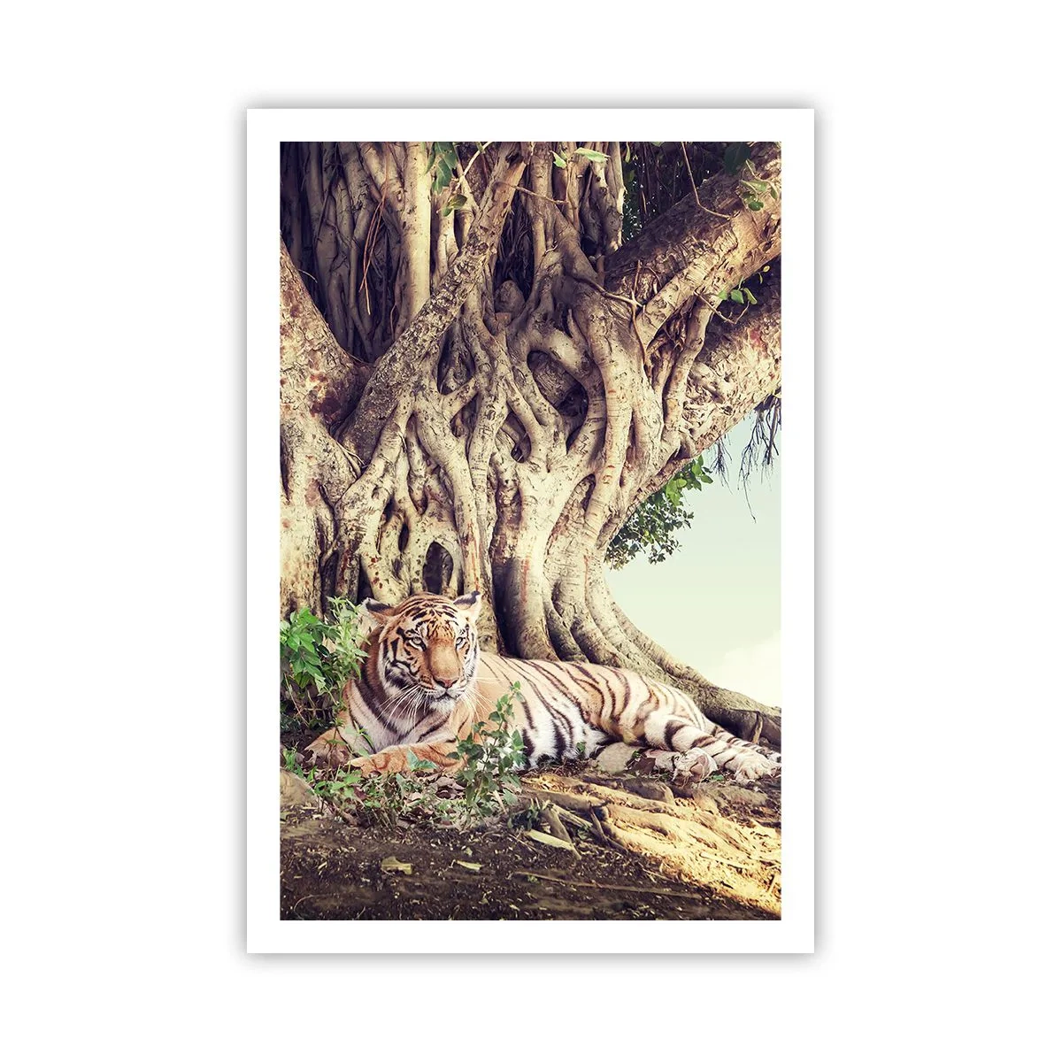 Plagát - Pohľad z knihy Mojžišovej - 61x91 cm