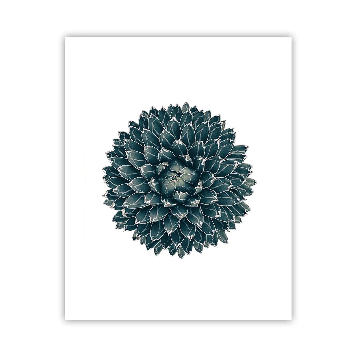 Plagát - Hviezda púšte - 40x50 cm