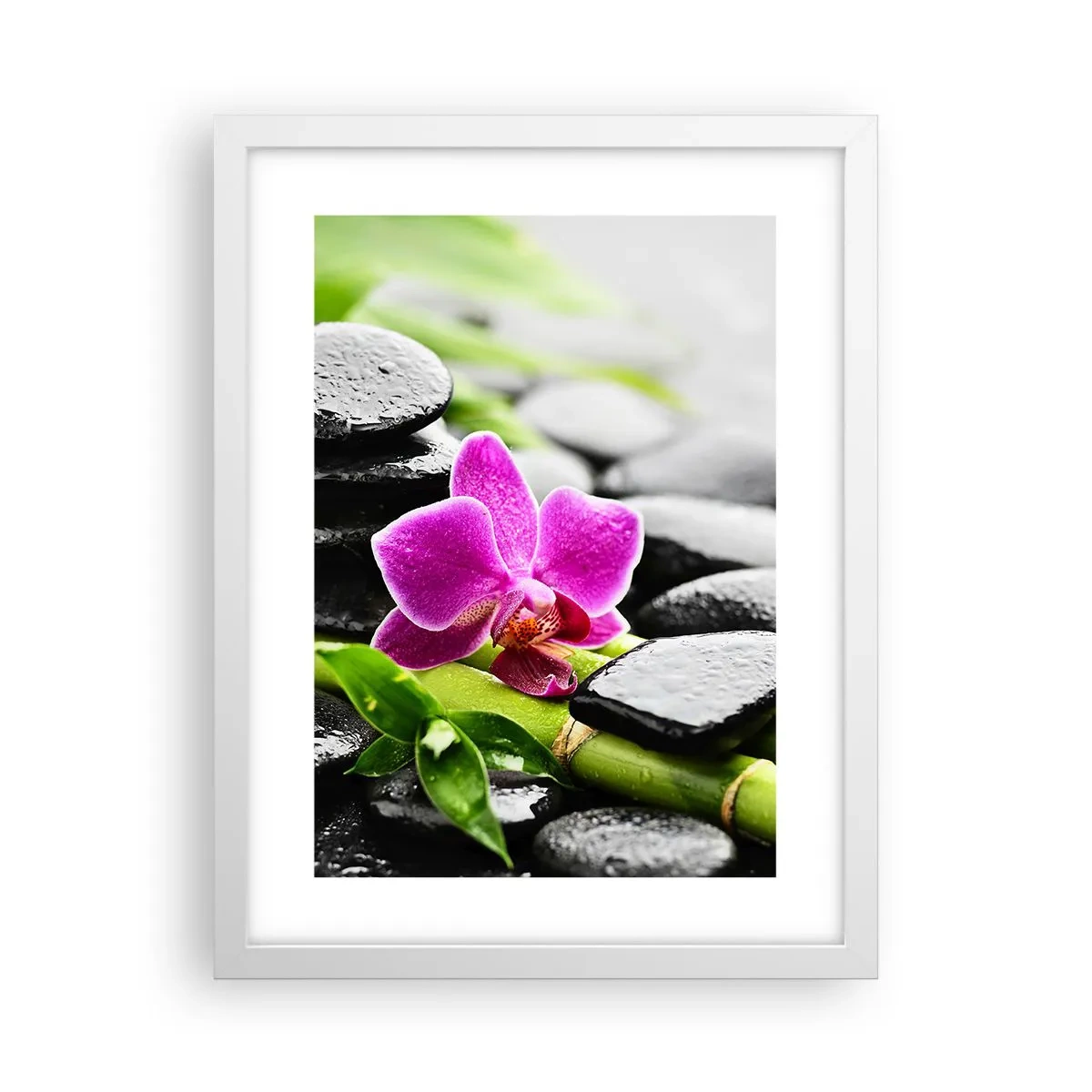 Plagát v bielom ráme - V pokojnej rovnováhe - 30x40 cm