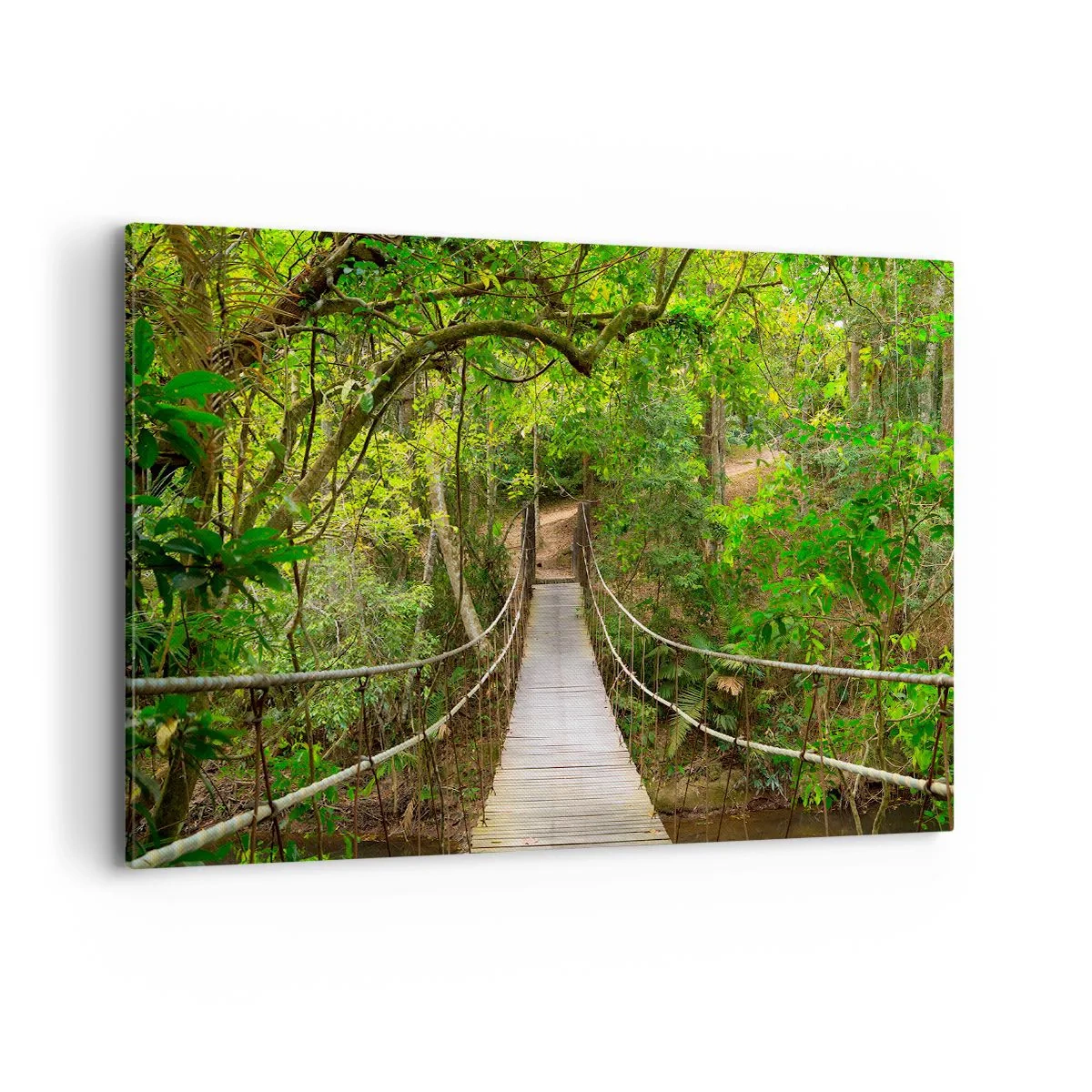 Obraz na plátne - Lebo na záhrade rastú popínavé rastliny - 120x80 cm