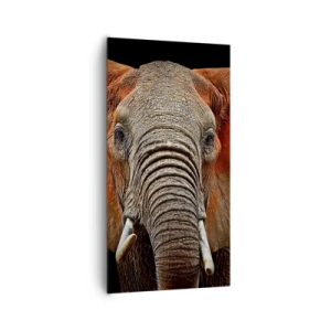 Obraz na plátne - Som divoký, a ty? - 65x120 cm