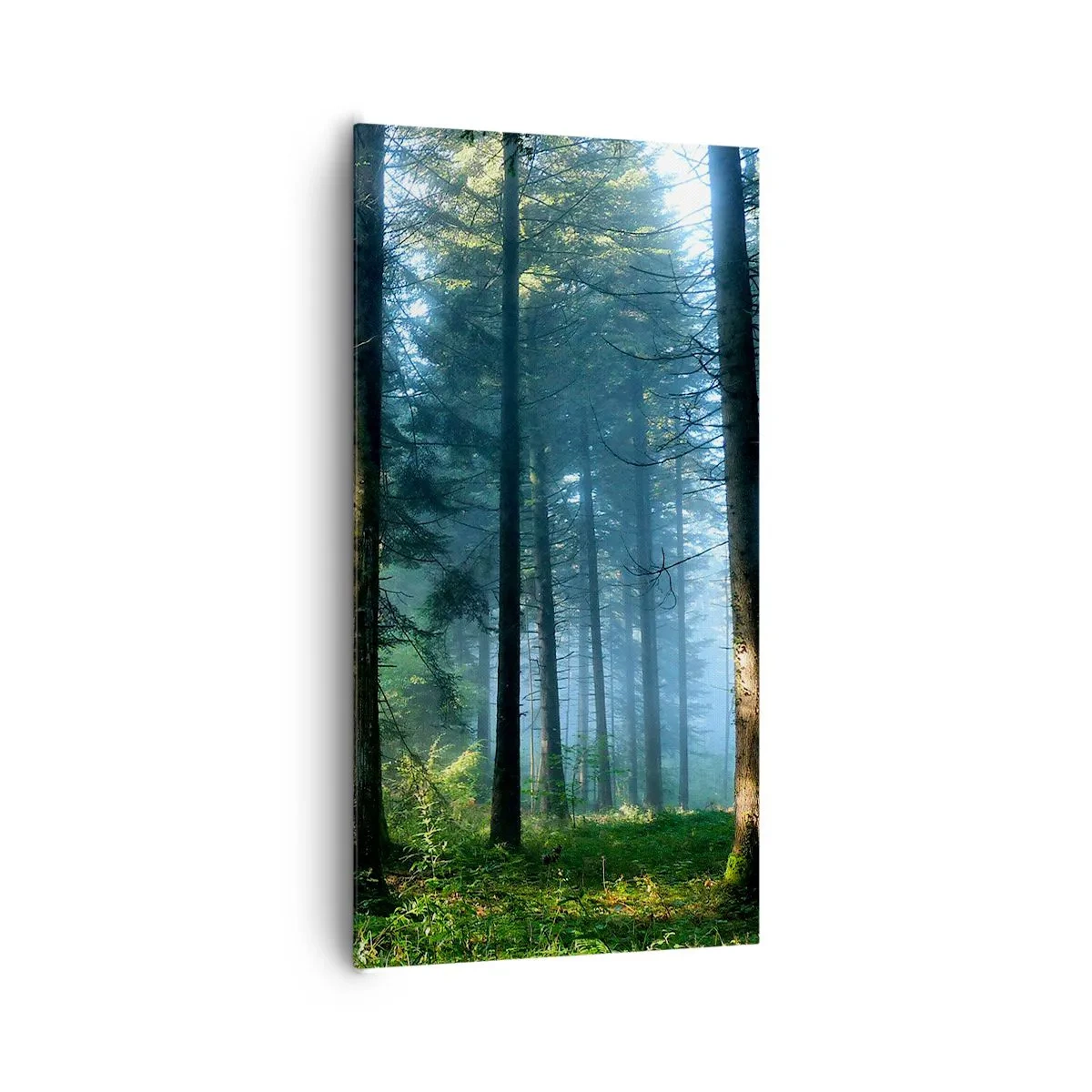 Obraz na plátne - Žiariaci za úsvitu - 65x120 cm