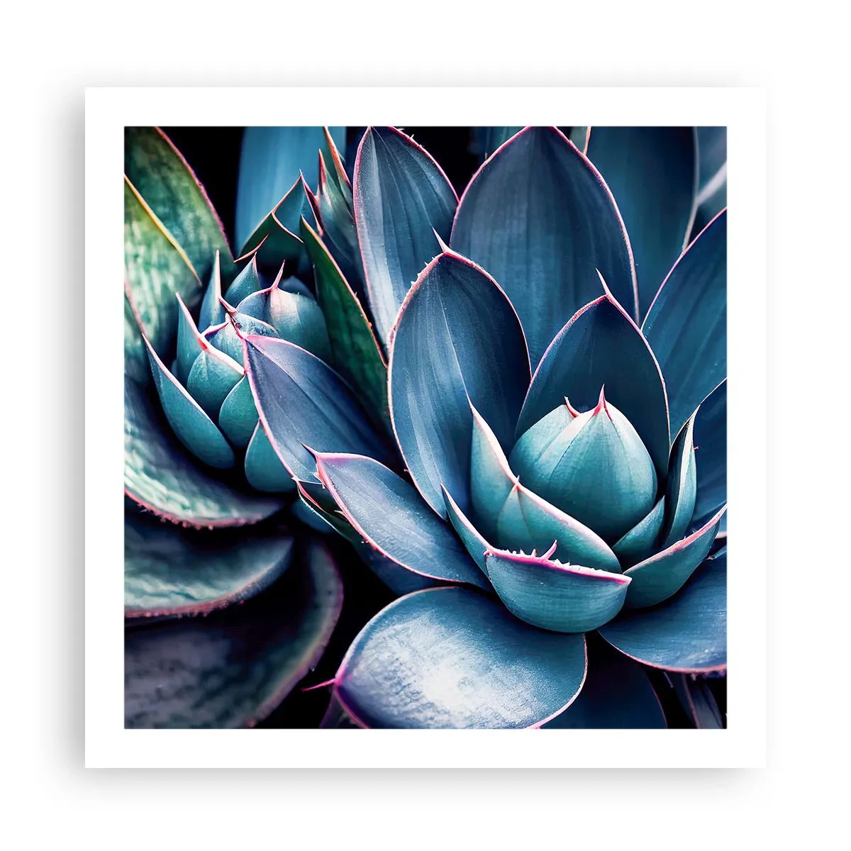 Plagát - Vitálna sila - 60x60 cm