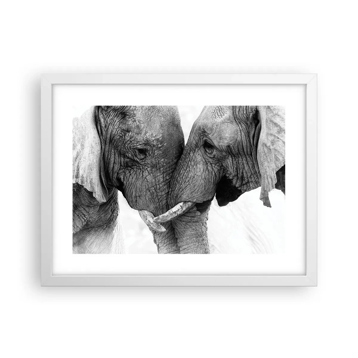 Plagát v bielom ráme - Úprimné vyznanie - 40x30 cm