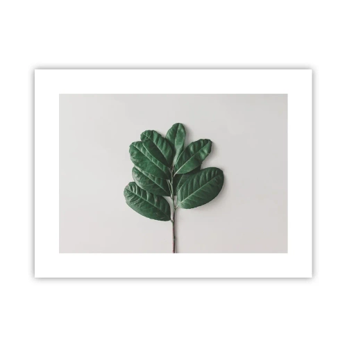 Plagát - Kresba samotnej prírody - 40x30 cm