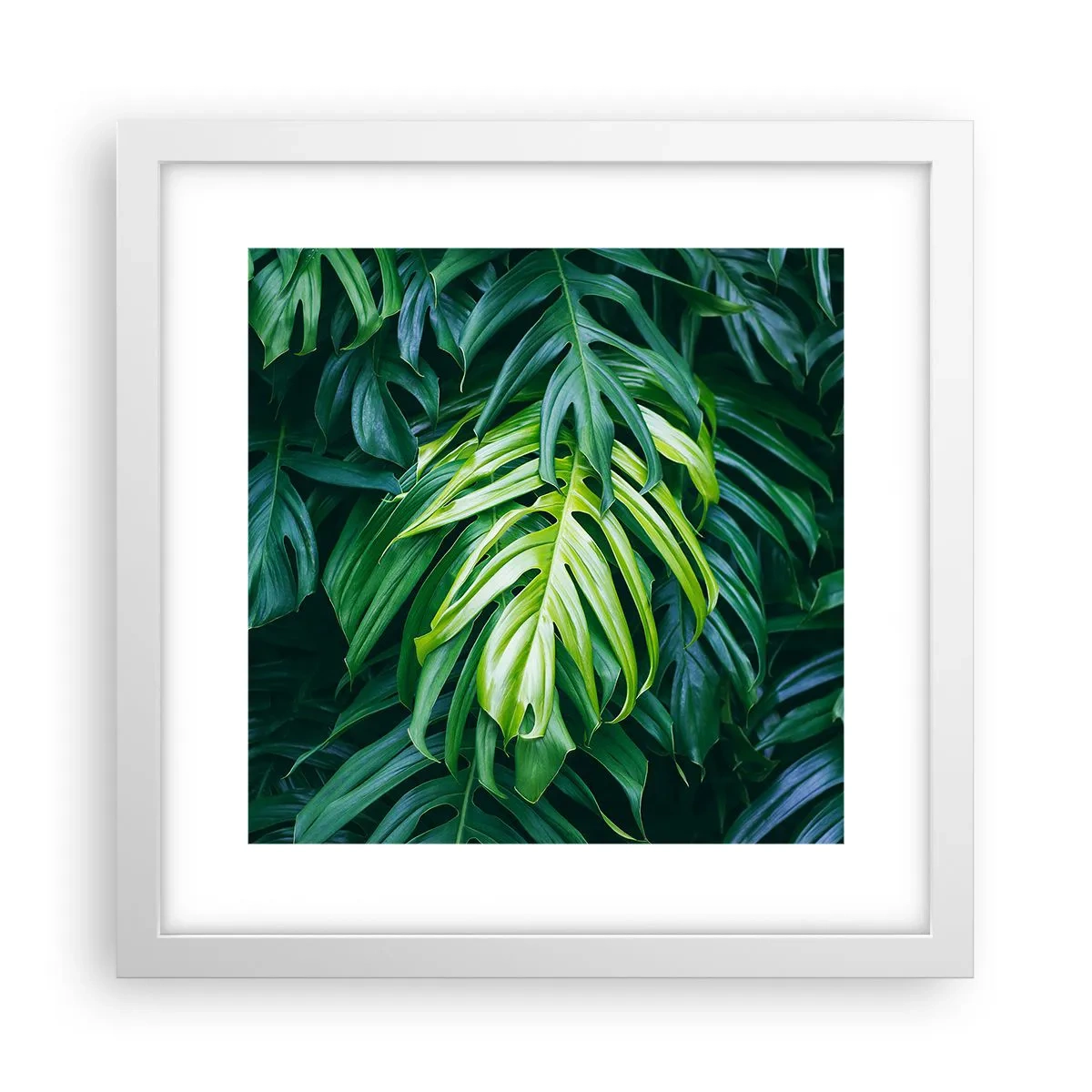 Plagát v bielom ráme - Ponoriť sa do sviežosti - 30x30 cm