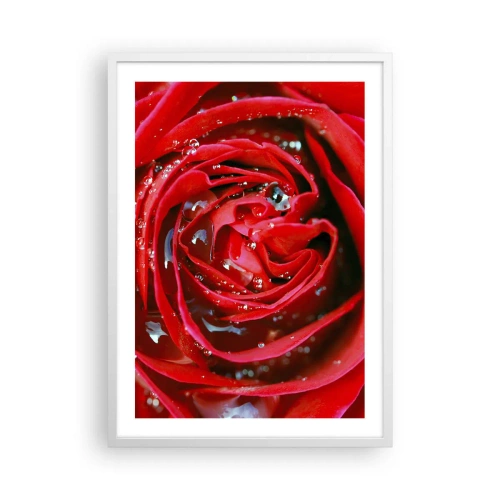 Plagát v bielom ráme - V kvapkách rosy - 50x70 cm