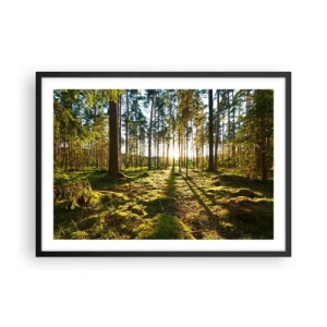 Plagát v čiernom ráme - …Za siedmimi lesmi - 70x50 cm