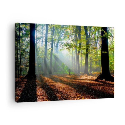 Obraz na plátne - Lesná čistinka osvetlená slnečnými lúčmi - 70x50cm - Svetlá a tiene - Moderná nástenná dekorácia do obývacej izby a spálne ARTTOR