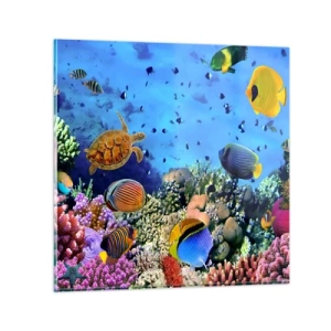 Obraz na skle - Čo vieme o živote… - 60x60 cm