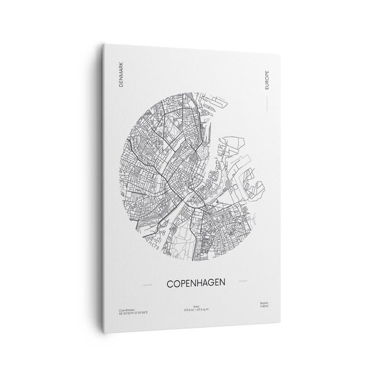 Obraz na plátne - Anatómia Kodane - 70x100 cm