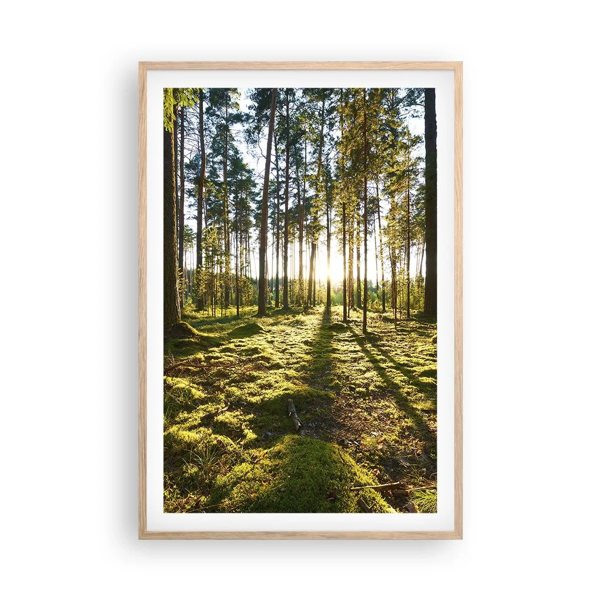 Plagát v ráme zo svetlého duba - …Za siedmimi lesmi - 61x91 cm