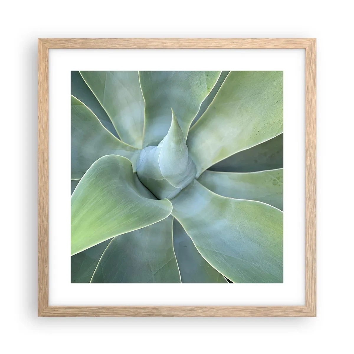 Plagát v ráme zo svetlého duba - Zrodenie zelene - 40x40 cm