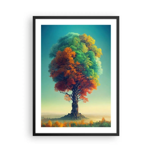 Plagát v čiernom ráme - Strom vo farbách štyroch ročných období - 50x70cm - Dub – otec prírody - Moderná nástenná dekorácia do obývacej izby a spálne ARTTOR