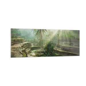 Obraz na skle - Vyrastať na slnku - 140x50 cm