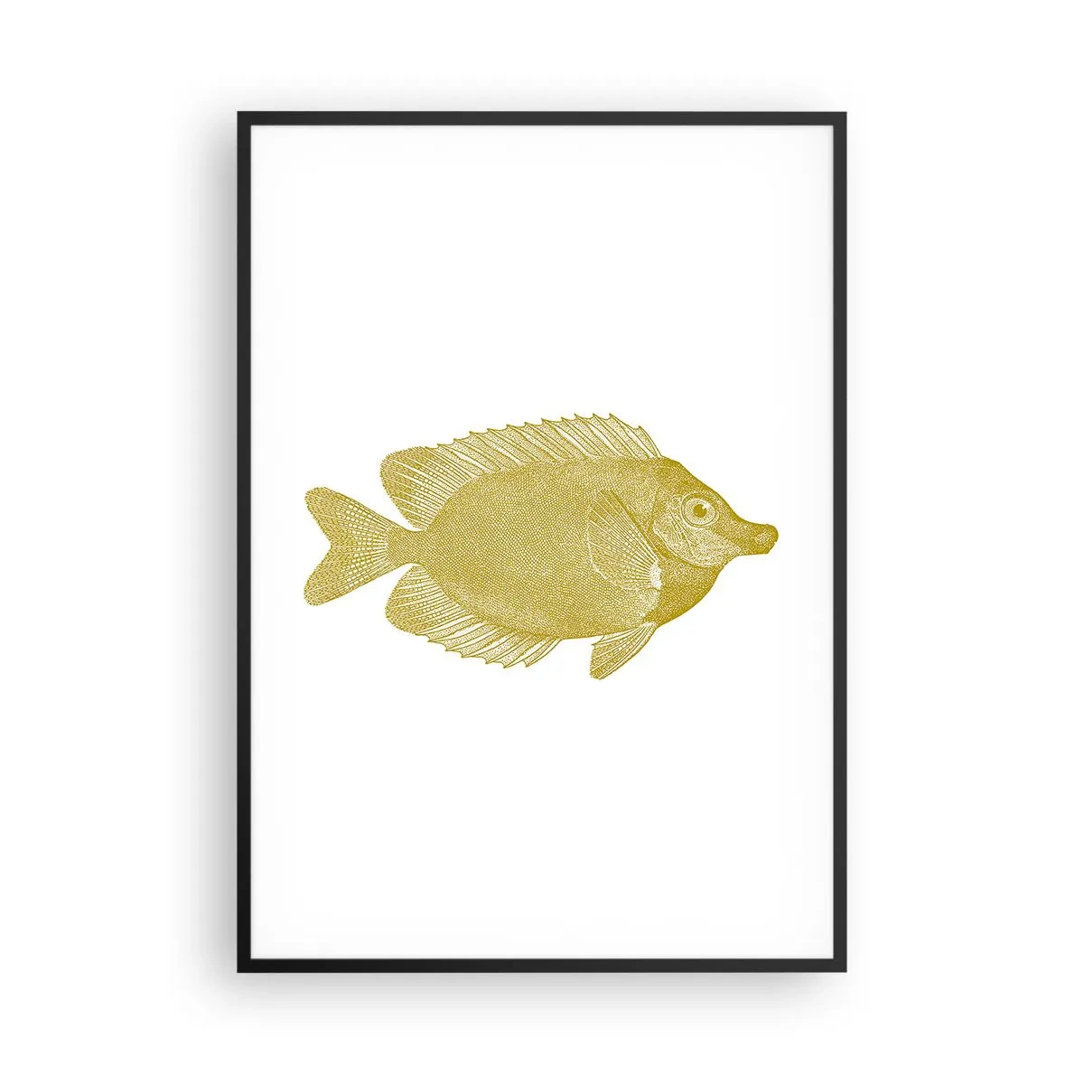 Plagát v čiernom ráme - Proste ryba - 70x100 cm