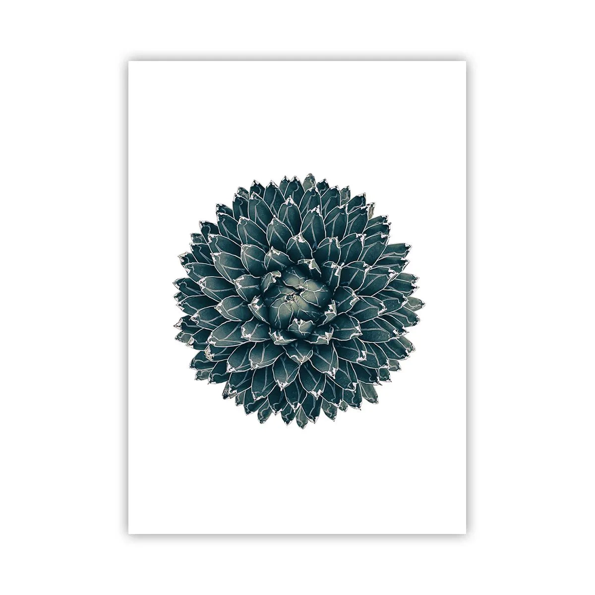 Plagát - Hviezda púšte - 50x70 cm