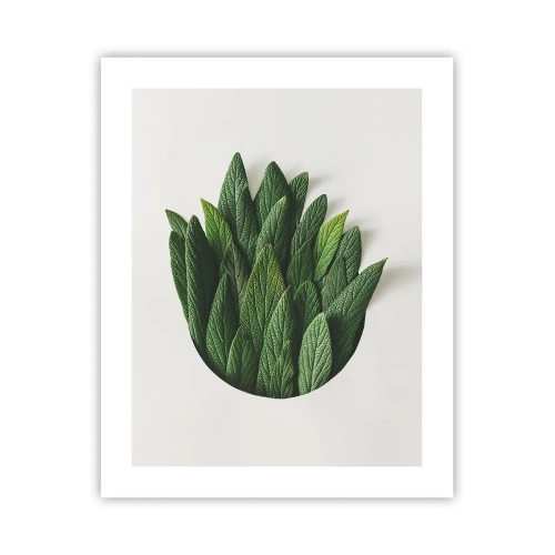 Plagát - Neukojiteľná zvedavosť - 40x50 cm