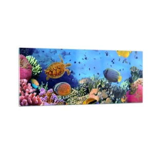 Obraz na skle - Čo vieme o živote… - 100x40 cm