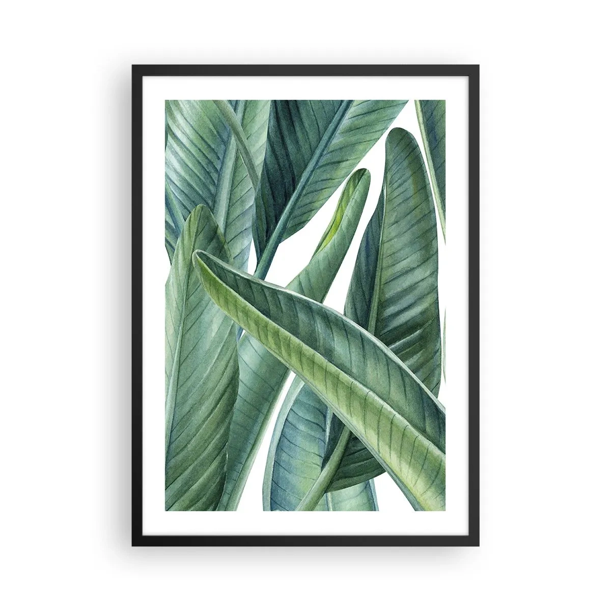 Plagát v čiernom ráme - Zelené banánové listy v akvarelovom štýle - 50x70cm - Proste zelená - Moderná nástenná dekorácia do obývacej izby a spálne ARTTOR