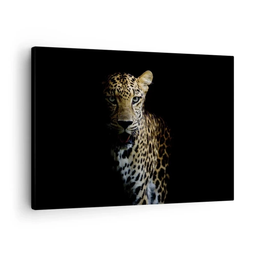 Obraz na plátne - Leopard na tmavom pozadí s intenzívnym pohľadom - 70x50cm - Temná krása - Moderná nástenná dekorácia do obývacej izby a spálne ARTTOR