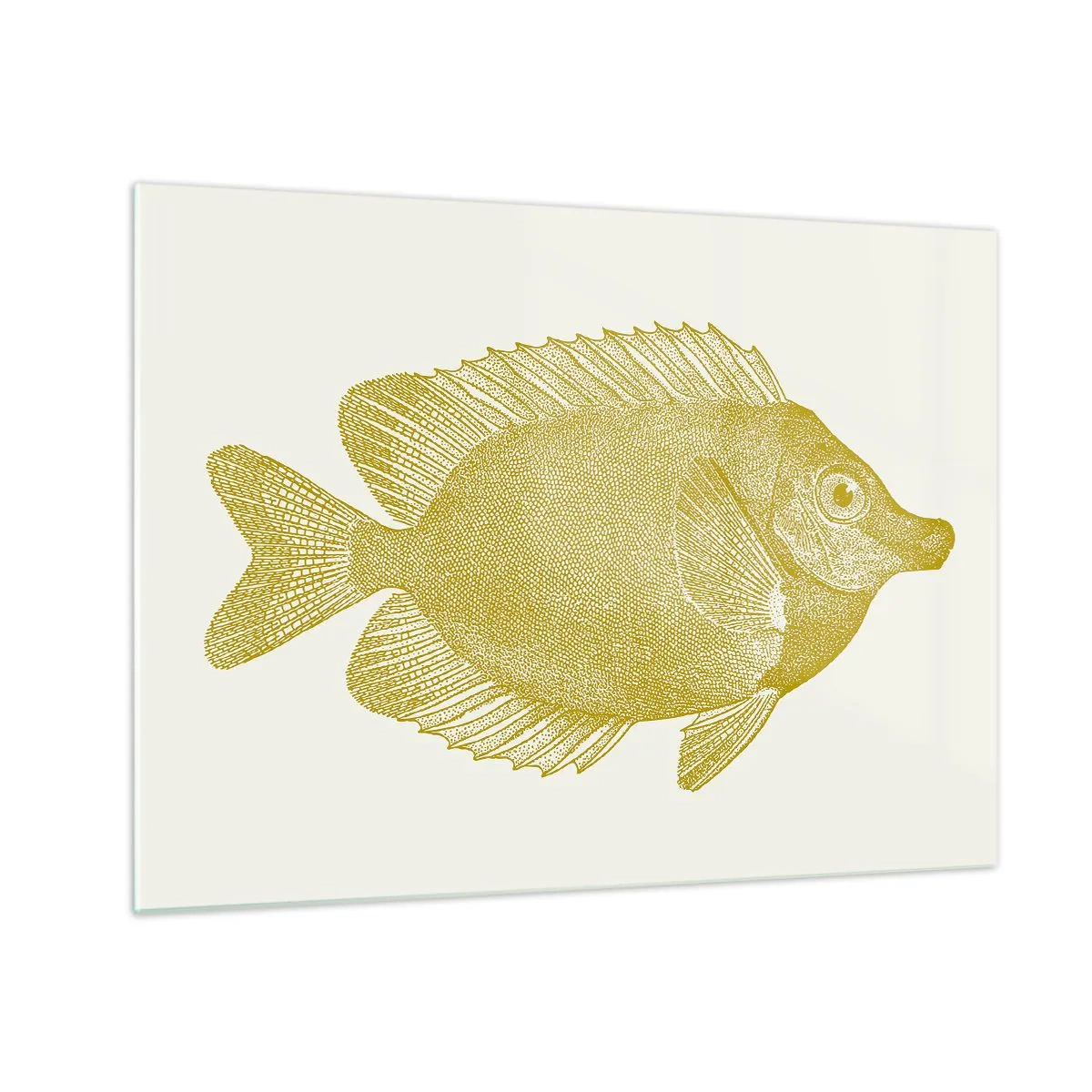 Obraz na skle - Vintage zlatá rybka na svetlom pozadí - 70x50cm - Proste ryba - Moderná nástenná dekorácia do obývacej izby a spálne ARTTOR