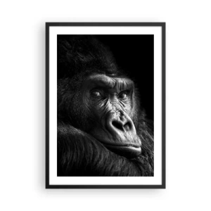 Plagát v čiernom ráme - Portrét gorily na čiernom pozadí v živých detailoch - 50x70cm - Na čo sa tak pozeráš? - Moderná nástenná dekorácia do obývacej izby a spálne ARTTOR