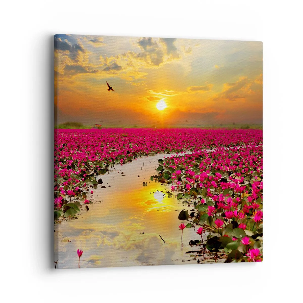 Obraz na plátne - Tajomný život jazera - 40x40 cm