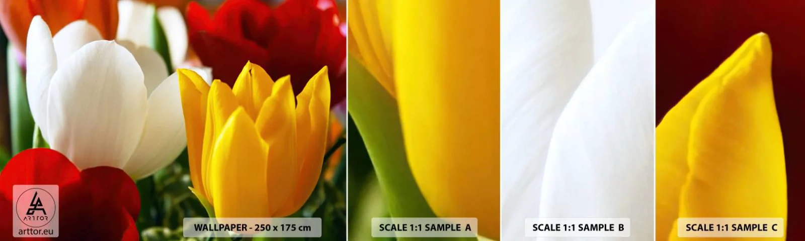 Vzorka samolepiacej fototapety Deluxe Sticker - Tulipánová horúčka - Kvety, Tulipány, Kytica kvetov - 100x30 cm