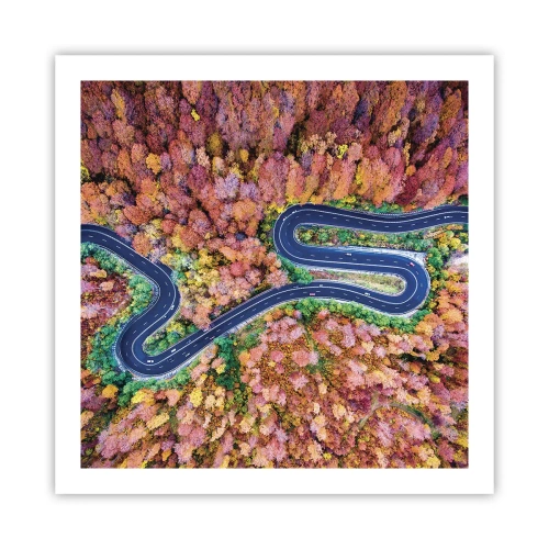 Plagát - Kľukatá cesta lesom - 60x60 cm