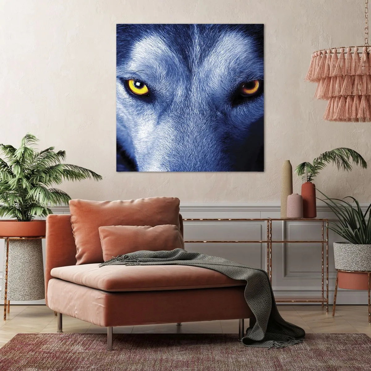 Obraz na plátne - Fascinujúci pohľad - 70x70 cm