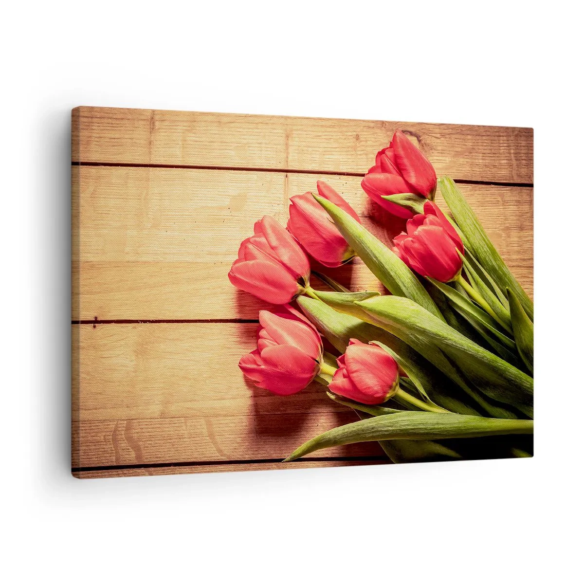 Obraz na plátne - Kytica ružových tulipánov na drevenom pozadí - 70x50cm - Jarné vyznanie - Moderná nástenná dekorácia do obývacej izby a spálne ARTTOR
