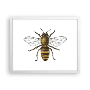 Plagát v bielom ráme - Krásna a dobrá - 50x40 cm