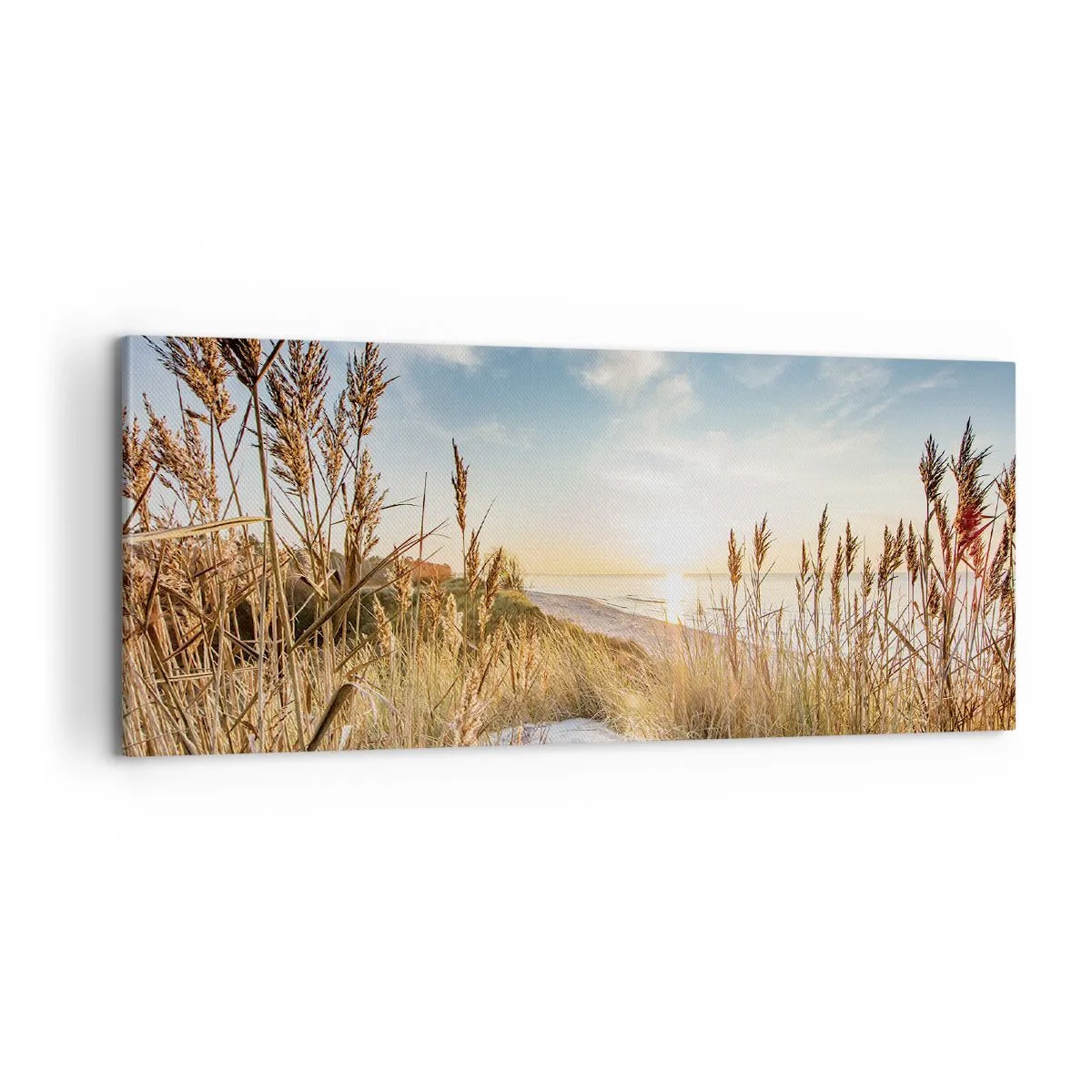 Obraz na plátne - Severná pláž - 100x40 cm