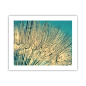 Plagát - Čakanie na vietor - 50x40 cm