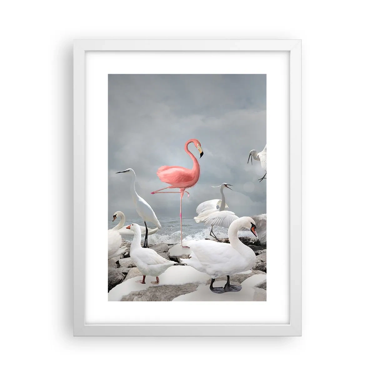 Plagát v bielom ráme - Kde som sa tu vzal? - 30x40 cm