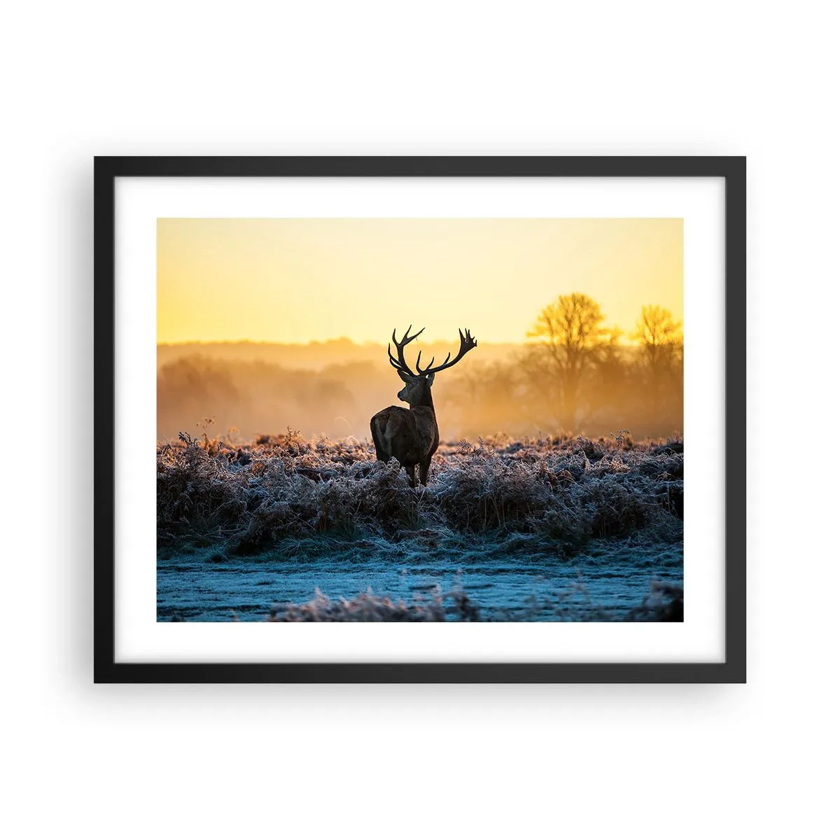 Plagát v čiernom ráme - Korunovaný na svojom panstve - 50x40 cm