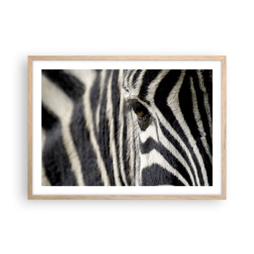 Plagát v ráme zo svetlého duba - Portrét s pruhmi - 70x50 cm