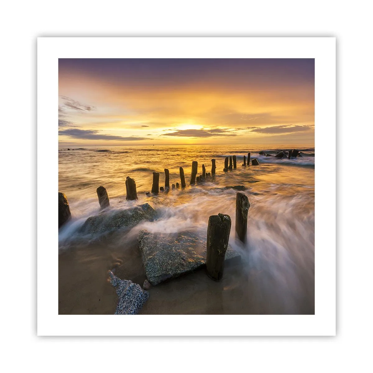 Plagát - Drsná krása Baltského mora - 50x50 cm