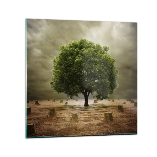 Obraz na skle - Celá nádej - 70x70 cm