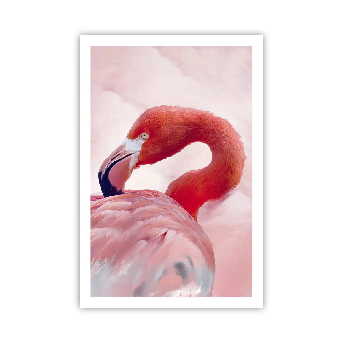 Plagát - Vtáčia krása - 61x91 cm