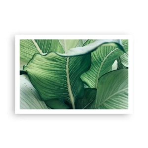 Plagát - Intenzívne zelený život - 91x61 cm