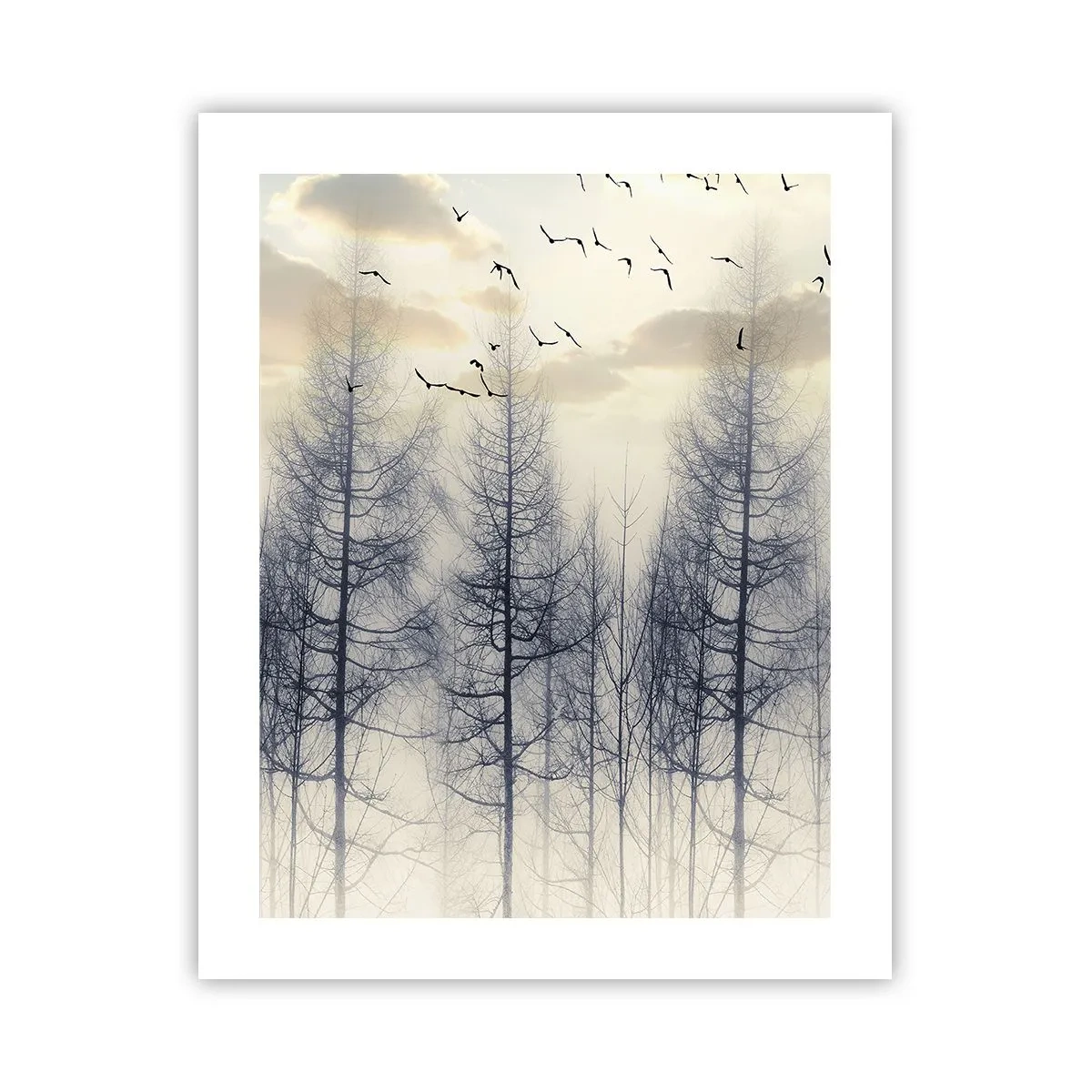 Plagát - Duchovia lesa - 40x50 cm