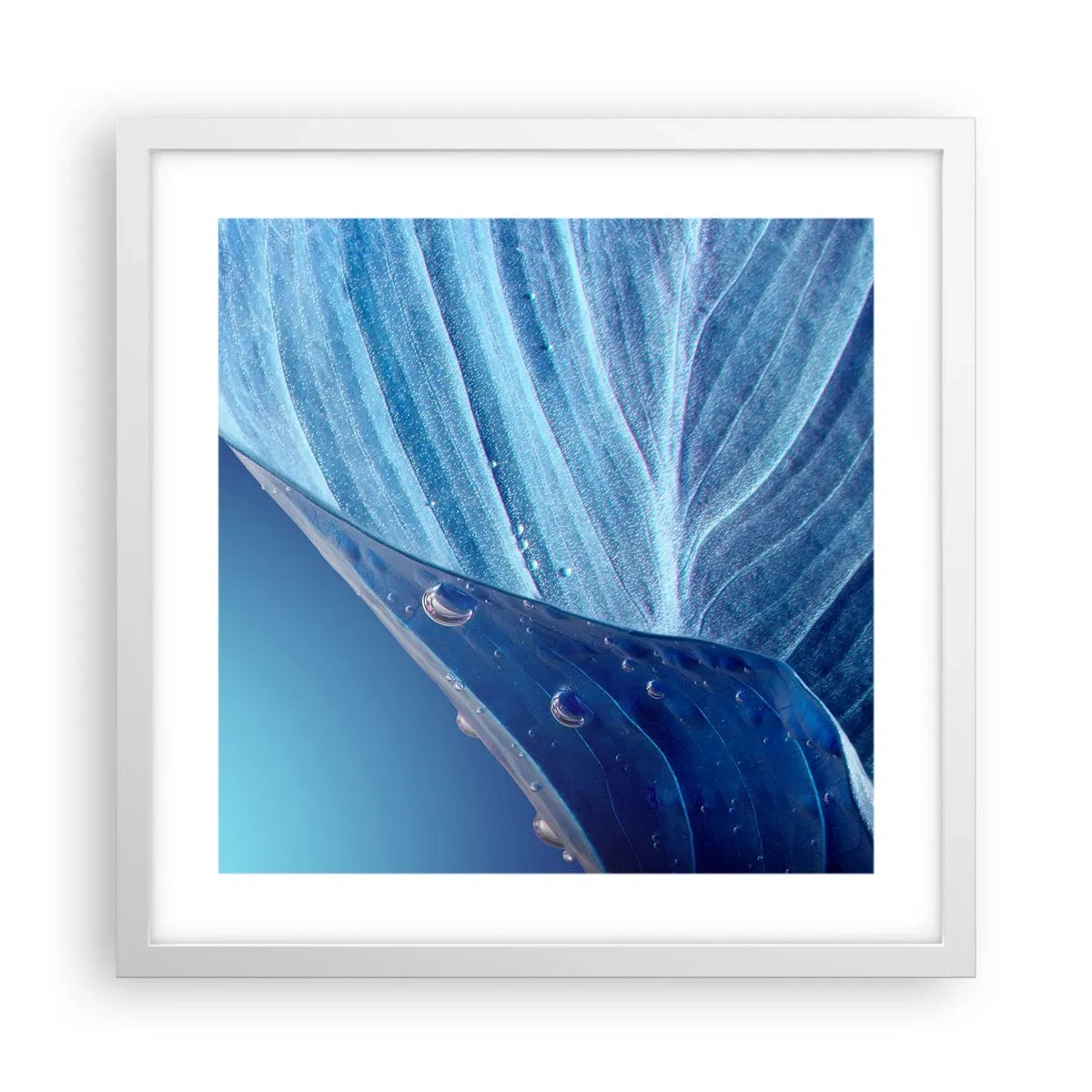 Plagát v bielom ráme - Skryté kvapky modrej - 40x40 cm