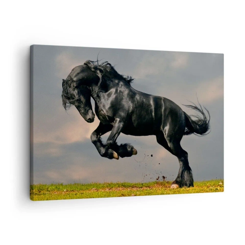 Obraz na plátne - Tmavý kôň v dynamickom skoku proti oblohe - 70x50cm - Krásny a slobodný - Moderná nástenná dekorácia do obývacej izby a spálne ARTTOR