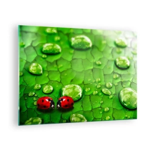Obraz na skle - Dve lienky na zelenom liste s kvapkami vody - 70x50cm - Stretnutie v zeleni - Moderná nástenná dekorácia do obývacej izby a spálne ARTTOR