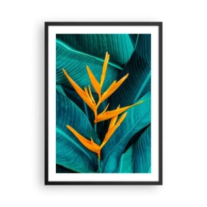 Plagát v čiernom ráme - Exotický kvet na pozadí zelených tropických listov. - 50x70cm - Rajský kvet - Moderná nástenná dekorácia do obývacej izby a spálne ARTTOR
