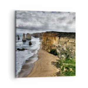 Obraz na plátne - Drsná krása - 70x70 cm